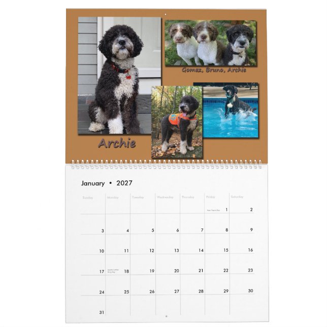 Spanische Wasserhunde 2020 Kalender (Jan 2027)