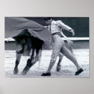 Spanischer Bulldog Poster