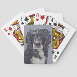 Spanischer Hundemix Spielkarten