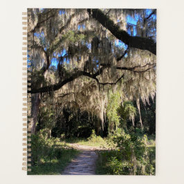 Spanischer Moos Planer