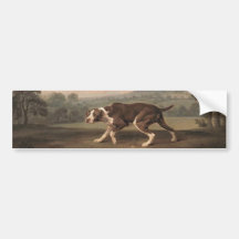 Spanischer Pointer Dog (von George Stubbs)