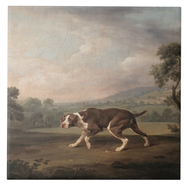 Spanischer Pointer Dog (von George Stubbs) Fliese (Vorderseite)