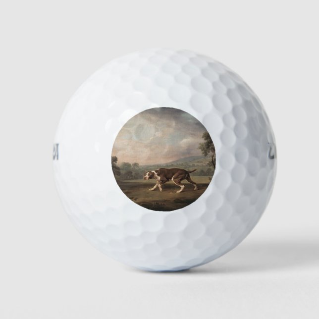 Spanischer Pointer Dog (von George Stubbs) Golfball (Vorderseite)