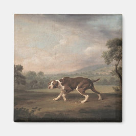 Spanischer Pointer Dog (von George Stubbs) Magnet