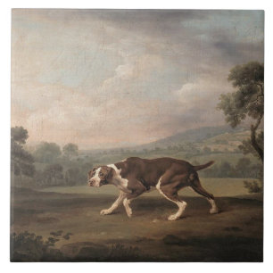 Spanischer Pointer-Hund (von George Stubbs) Fliese