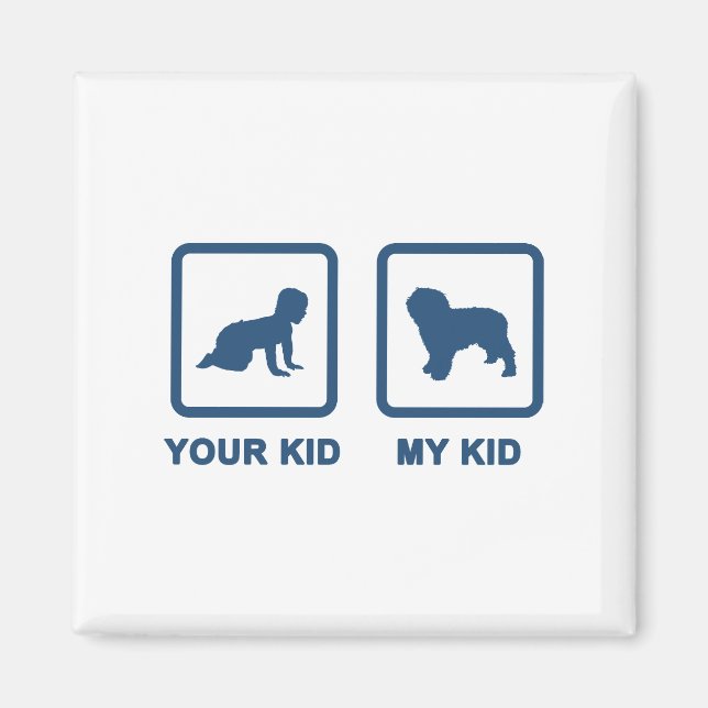 Spanischer Wasserhund Magnet (Vorne)