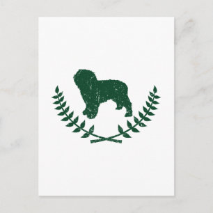 Spanischer Wasserhund Postkarte