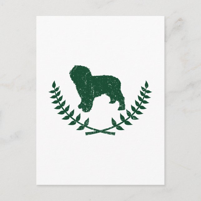 Spanischer Wasserhund Postkarte (Vorderseite)