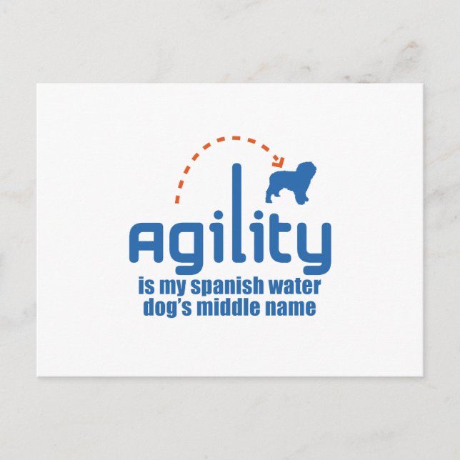 Spanischer Wasserhund Postkarte (Vorderseite)