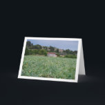 Spanisches Artichoke Field, Valencia, Spanien Karte<br><div class="desc">Spanish Artichoke Field,  Valencia,  Spanien Grußkarte. Sie können dieses Produkt ganz einfach kostenlos anpassen,  wenn Sie Text hinzufügen oder die Farbe des Hintergrunds ändern möchten.</div>