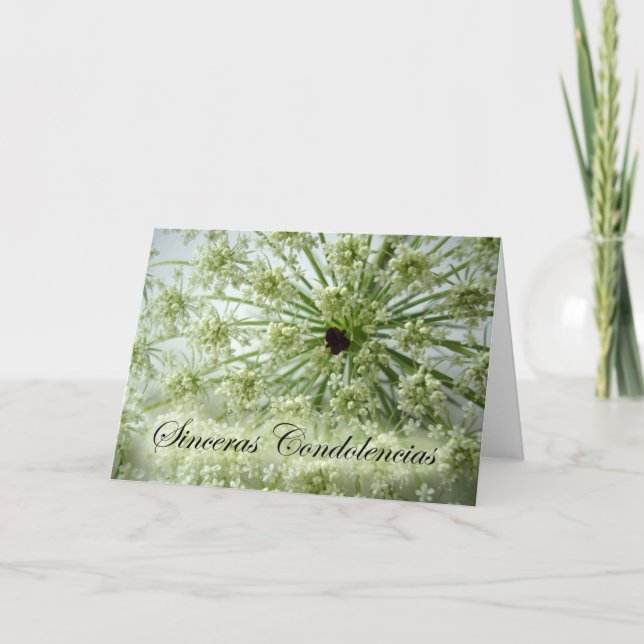 Spanisches Beileid, Königin Anne's Lace, Blume Karte (Vorderseite)