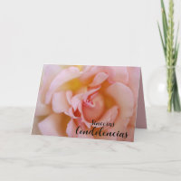 Spanisches Beileid Rosa Rose