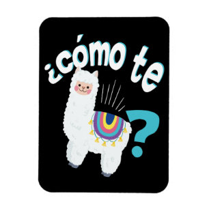 Spanisches Lehrer-lustiges Magnet