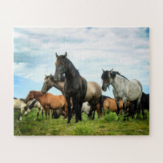 Spanisches Mustang-Puzzlespiel