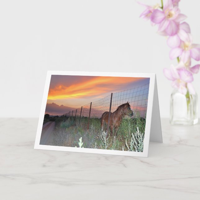 Spanisches Pferd bei Sonnenuntergang Karte (Orchidee)