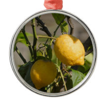 Spanish Lemon Graphics
