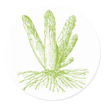 Spargel