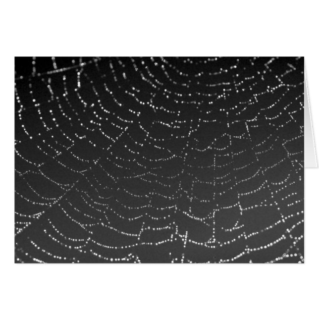 Sparkling Spiderweb (Vorderseite (Horizontal))