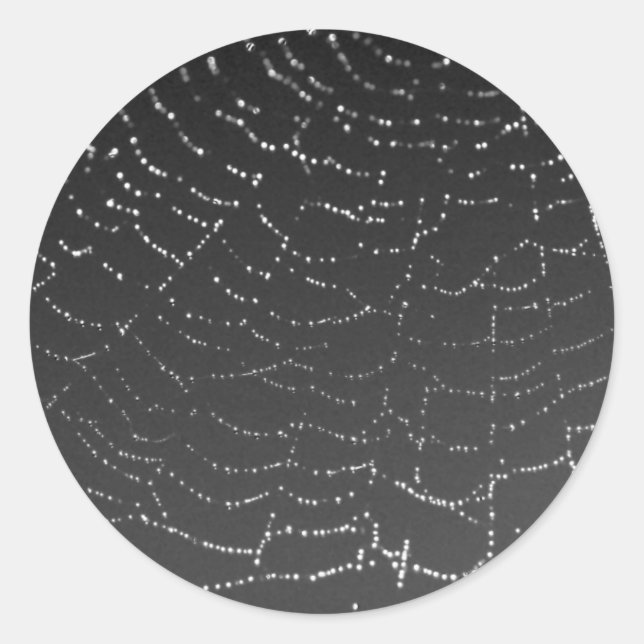 Sparkling Spiderweb Runder Aufkleber (Vorderseite)