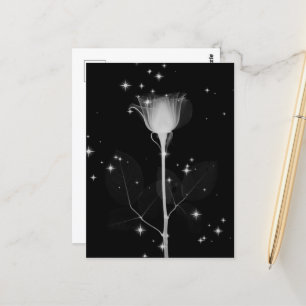 Sparkling X-Ray-Blume - B&W Postkarte