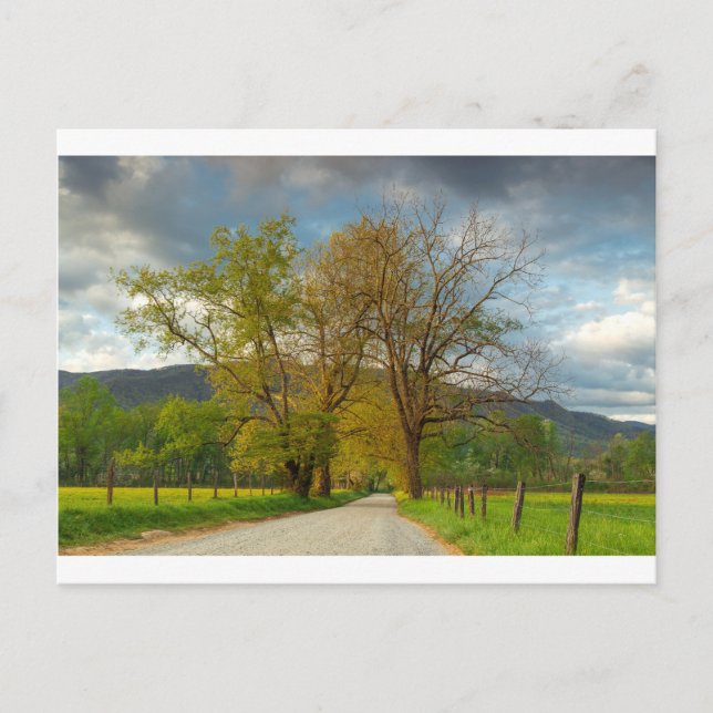 Sparks Lane Cades Cove Postkarte (Vorderseite)