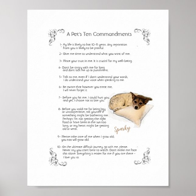 SPARKY a - Poster (Devant)