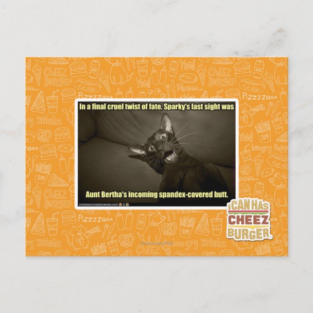 Sparkys letzter Anblick Postkarte (Vorderseite)
