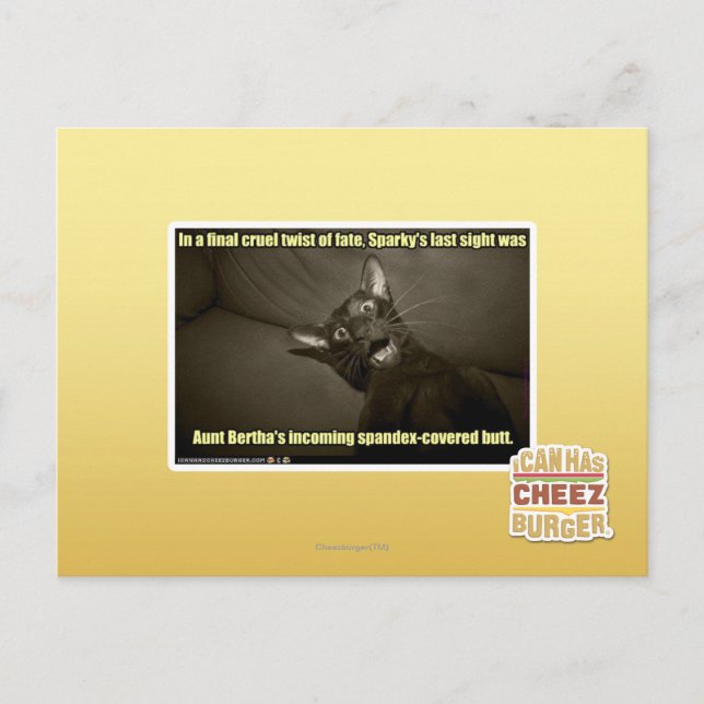 Sparkys letzter Blick Postkarte (Vorderseite)