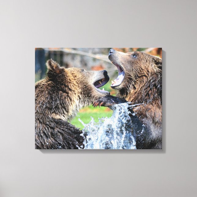 Sparring Grizzles Leinwanddruck (Vorderseite)