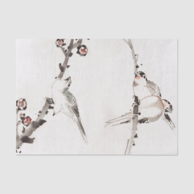 SPARRONE AUF BRANCH-Tissue Seidenpapier (Vorderseite)