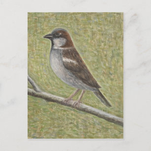 Sparrow 2008 postkarte