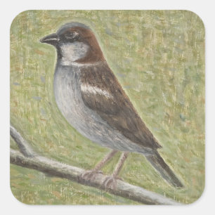 Sparrow 2008 quadratischer aufkleber
