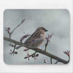 Sparrow auf Branch-Foto Mousepad