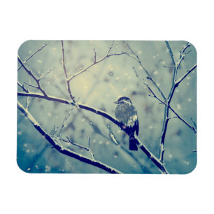 Sparrow auf dem verschneiten Zweig Magnet