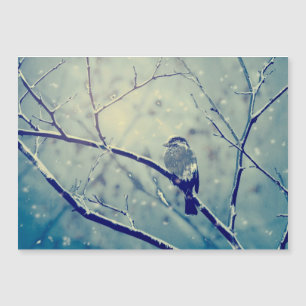 Sparrow auf dem verschneiten Zweig Magnetkarte