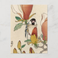 Sparrow auf der blühenden Magnolia-Zweigstelle von