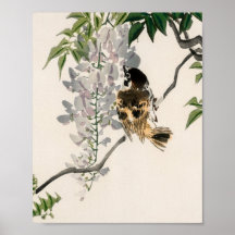 Sparrow auf einer Zweigniederlassung von Kono Bair