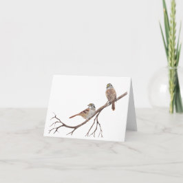 Sparrow auf einer Zweigstellennotierkarte