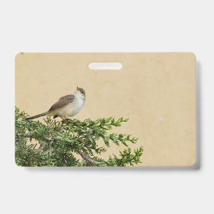 Sparrow Ausweis