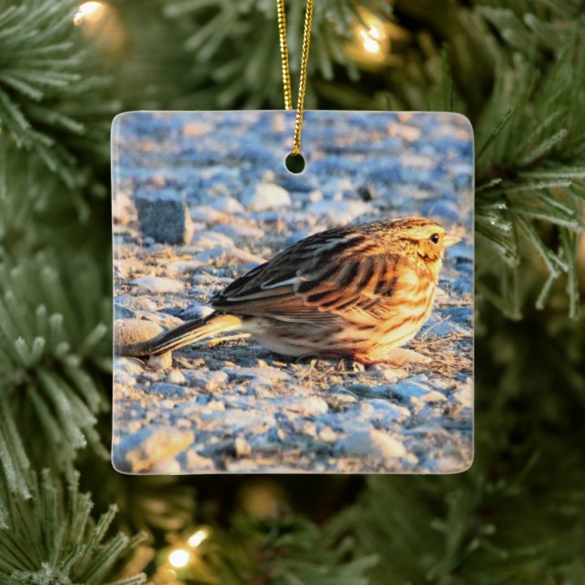 Sparrow Bird Keramikornament (Baum)