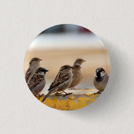 Sparrow Button