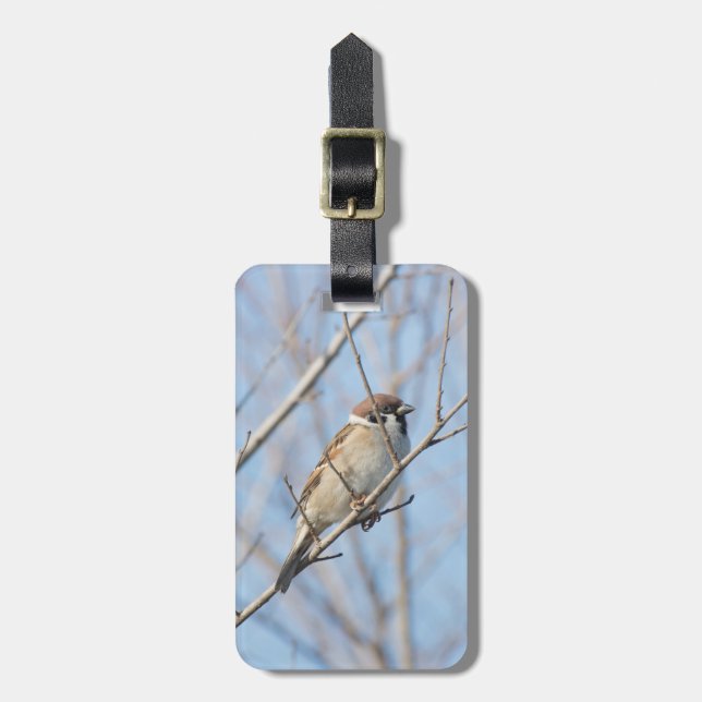 Sparrow Gepäckanhänger (Vorderseite vertikal)
