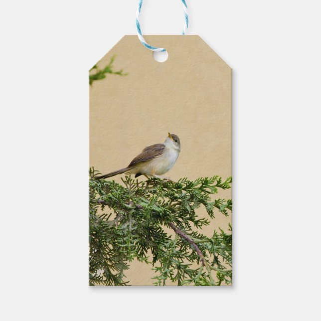 Sparrow Geschenkanhänger (Vorderseite)