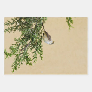 Sparrow Geschenkpapier Set