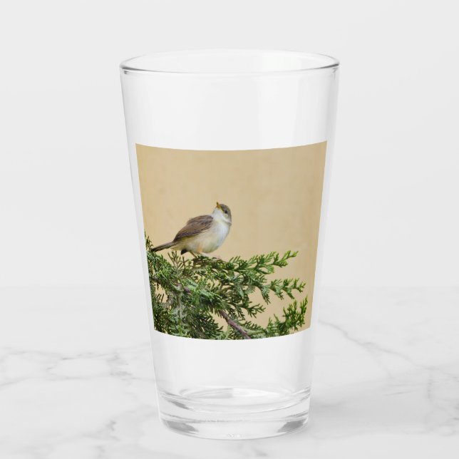 Sparrow Glas (Rückseite)