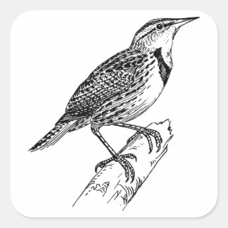 Sparrow-Große Sparrow-Kleidung/Sparrow-Aufkleber Quadratischer Aufkleber