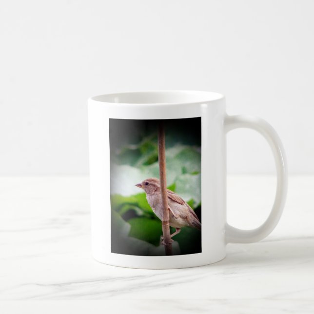 Sparrow Kaffeetasse (Rechts)
