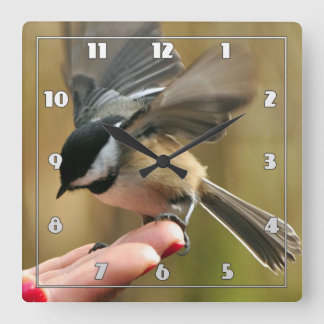 Sparrow landet auf der Hand meiner Ehefrau Quadratische Wanduhr