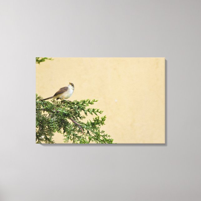 Sparrow Leinwanddruck (Vorderseite)