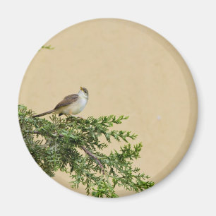 Sparrow Magnet